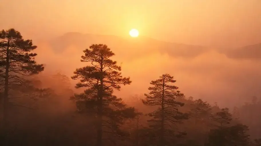 庐山恋